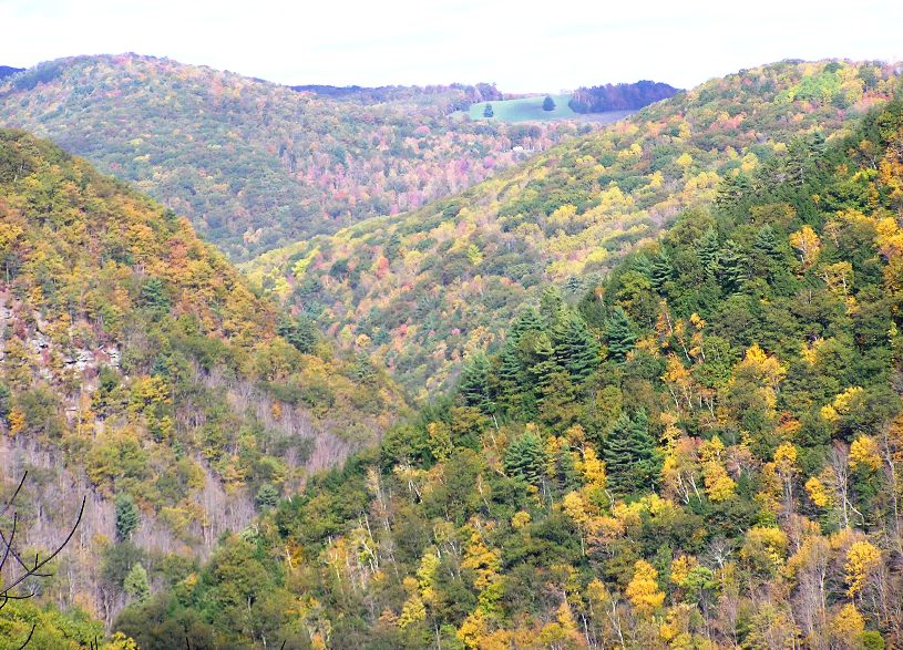 Hills behind hills, all covered with fall foliage