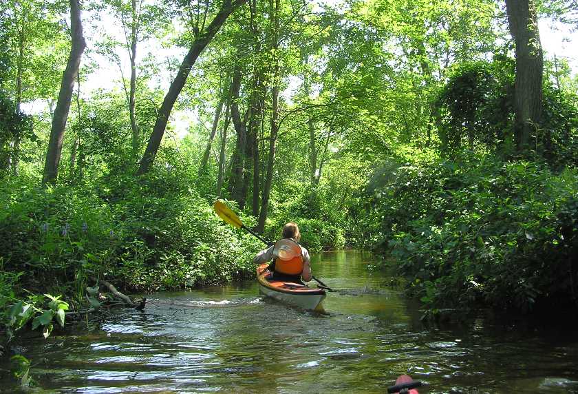 Lisa paddling through a shaded, wooded area