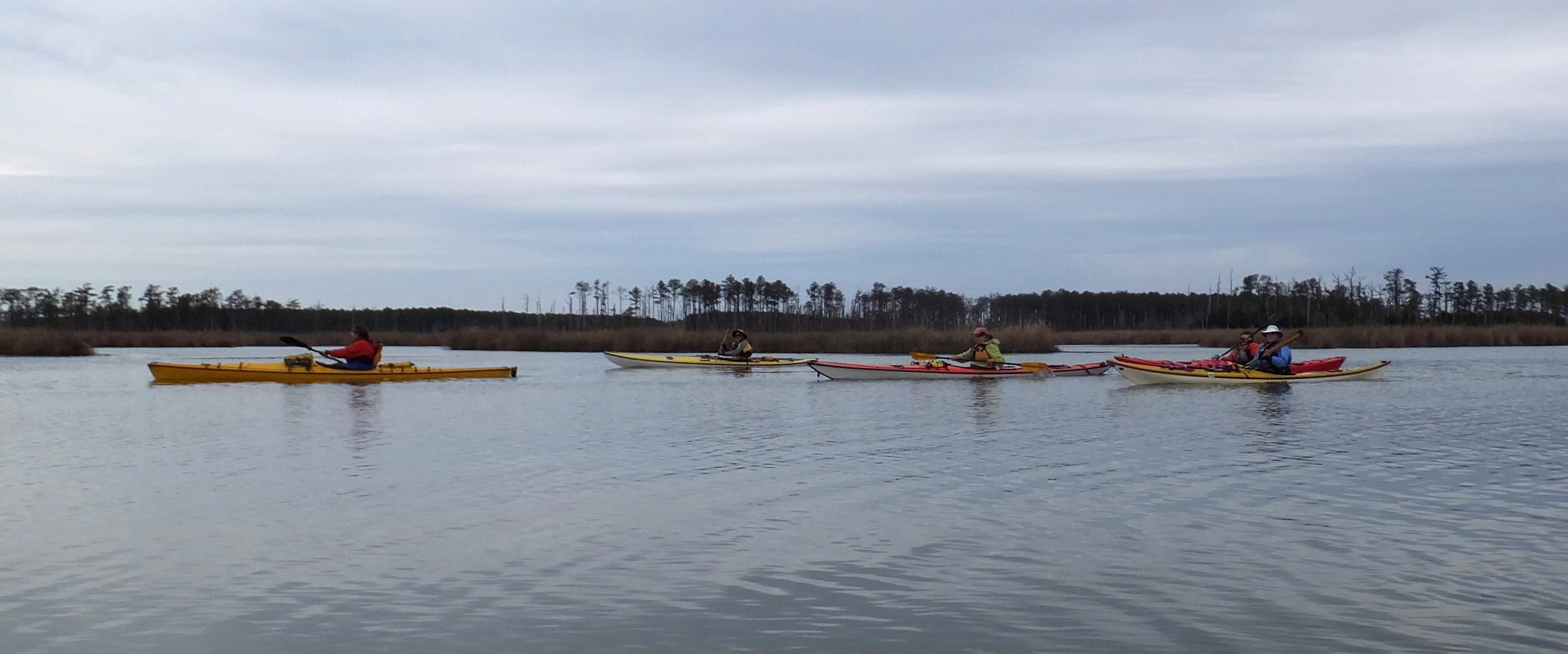 Group kayaking near Taylors Island