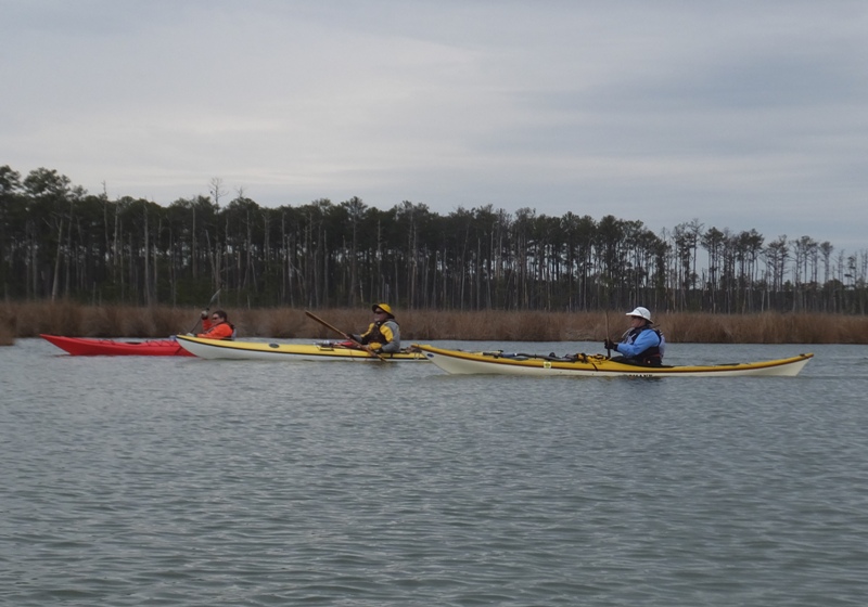 Madeline, Hank, and Ethel in their kayaks