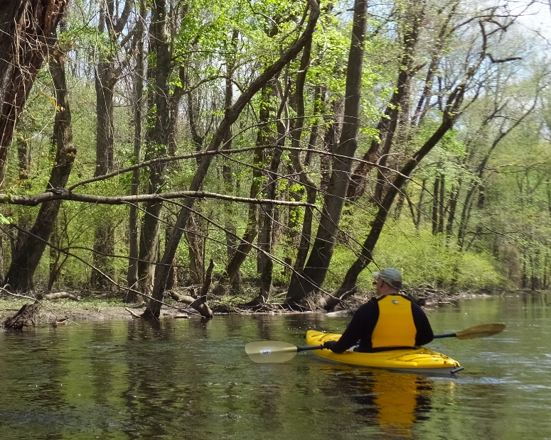 Mike looking at snake from his kayak