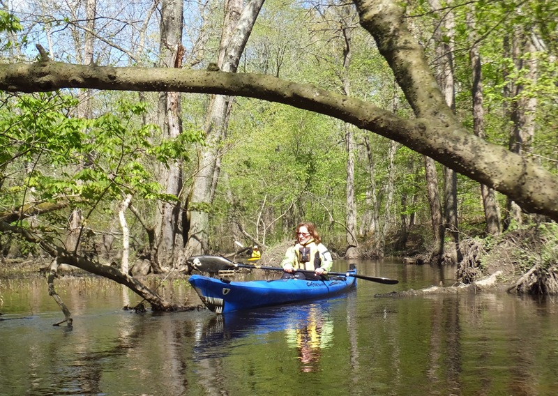 Norma in her boat with a shark face