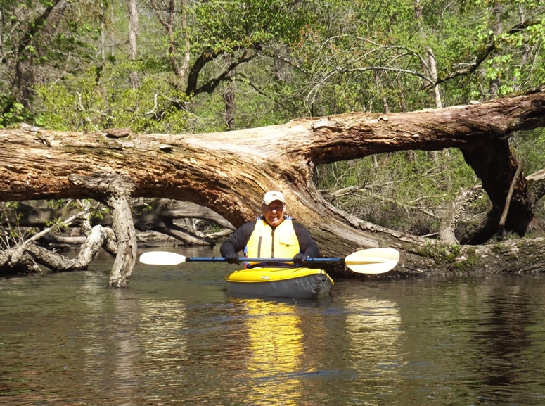 Mike successfully emerges from under a log