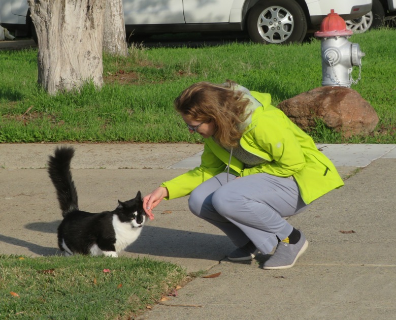 Norma with the neighborhood feline