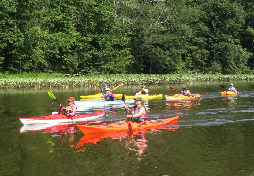 Kayakers paddling downstream