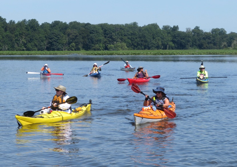 Different kayakers