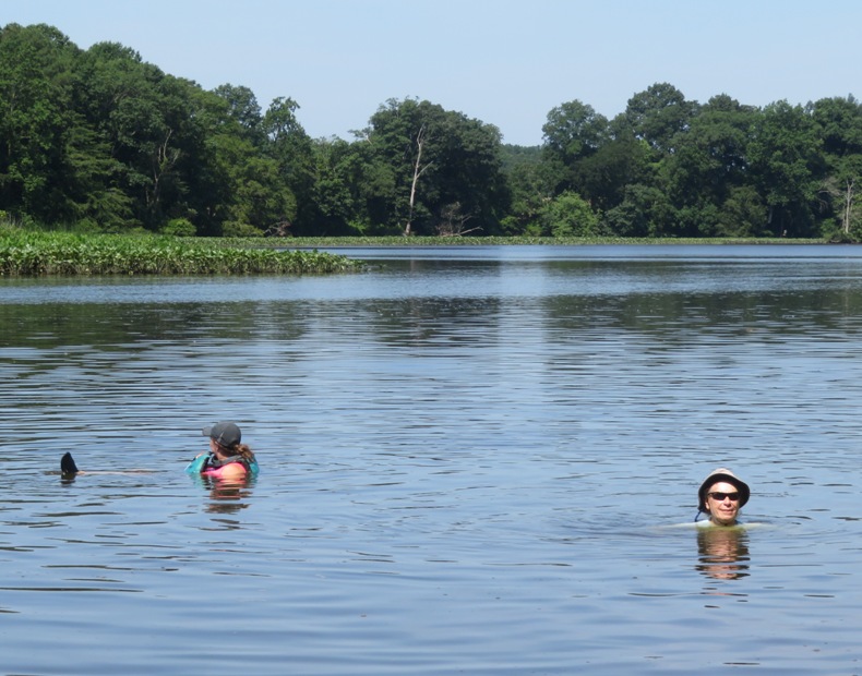 Two kayakers in the water