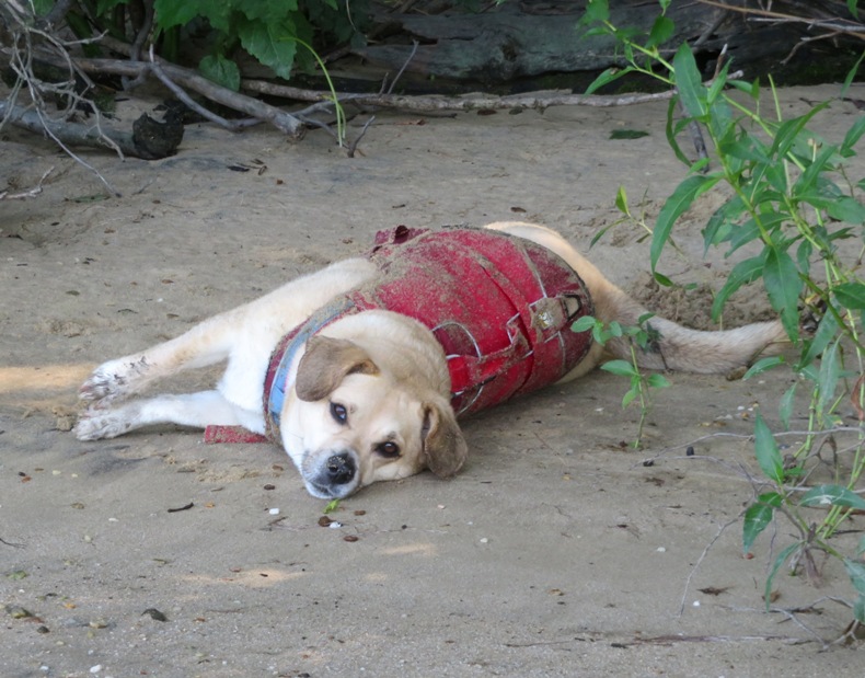 Daphne looking relaxed
