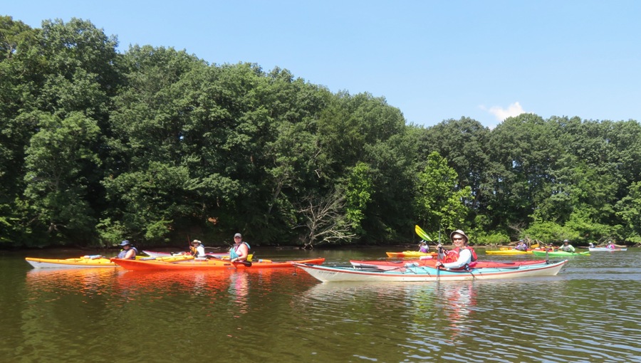 Kayakers paddling