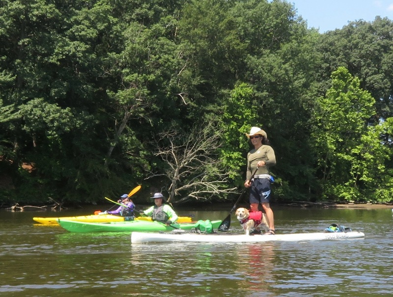 Daphne and I on SUP with two kayakers behind