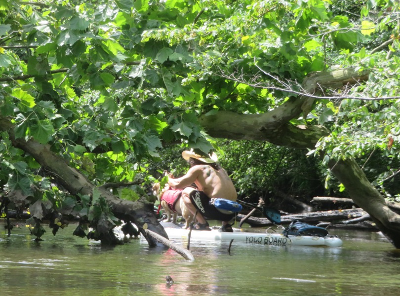 Daphne and I passing under fallen tree