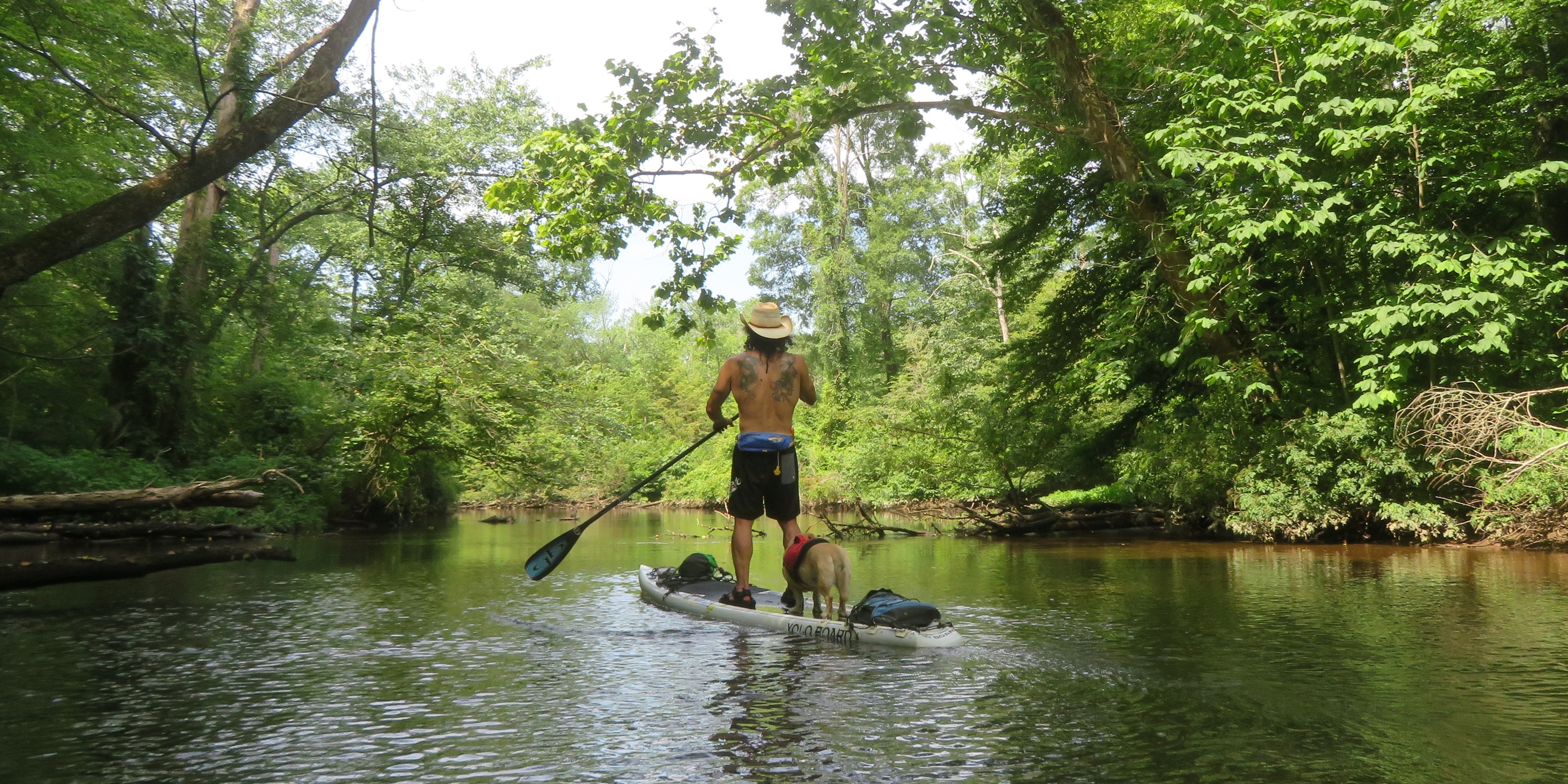 Rear view of Daphne and me on SUP in a scenic view on Tuckahoe Creek