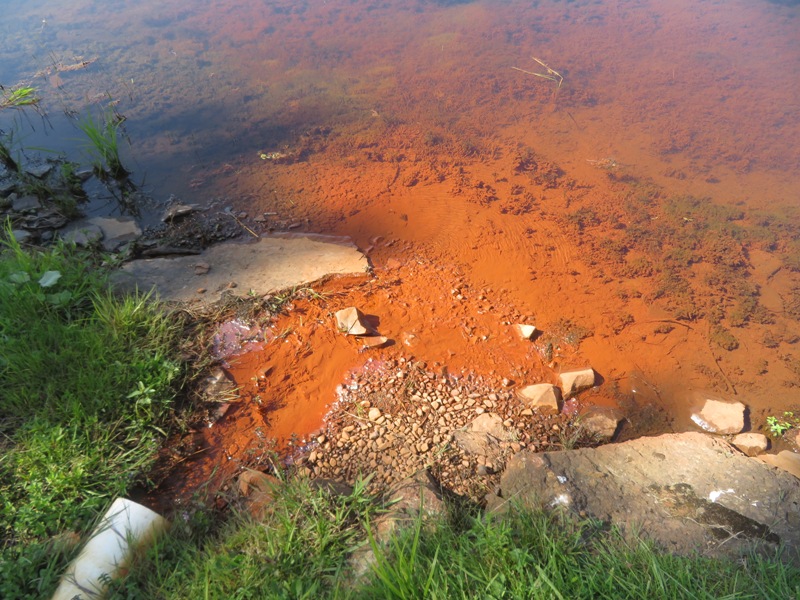 Shallow part of lake showing red bottom
