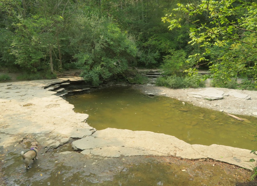 Daphne at nearly dry waterfall