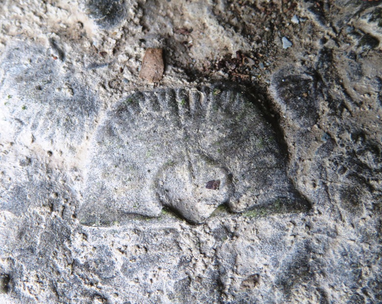 Brachiopod impression fossil