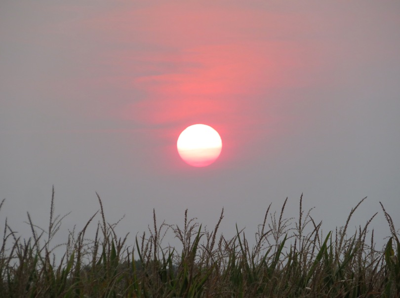 Setting sun over field of grain