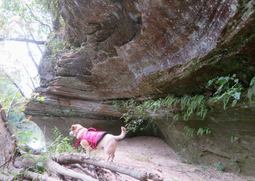 Big rock formation with Daphne looking at Norma down below in the canoe