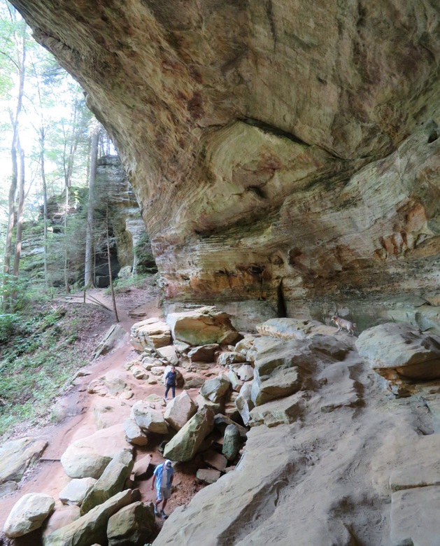Daphne standing on a rock, watching hikers below