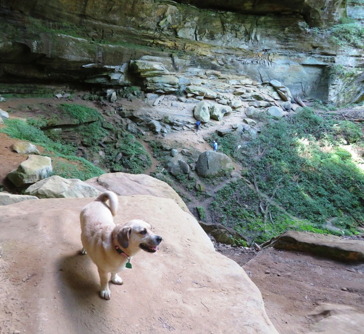 Daphne standing on a rock with the cliffs behind