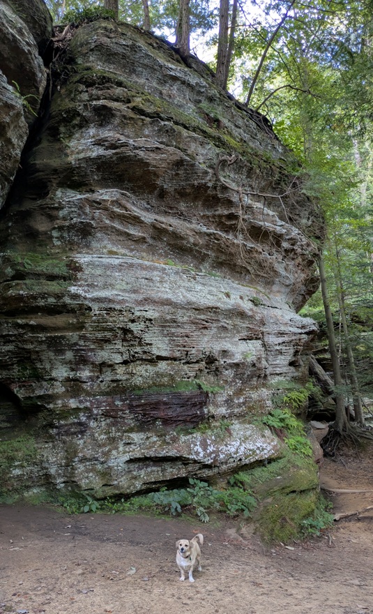 Daphne standing alone in front of a big rock formation