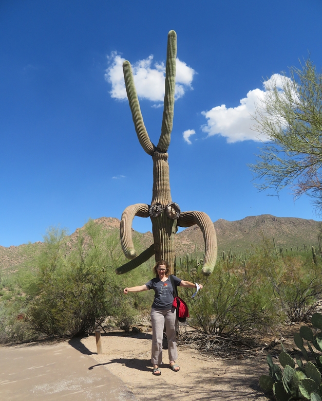 Norma using her arms to imitate the branch position of a large saguaro