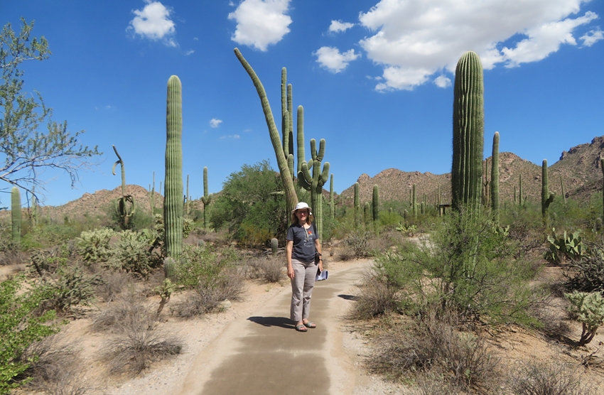 Norma standing on trail surrounded by desert plants