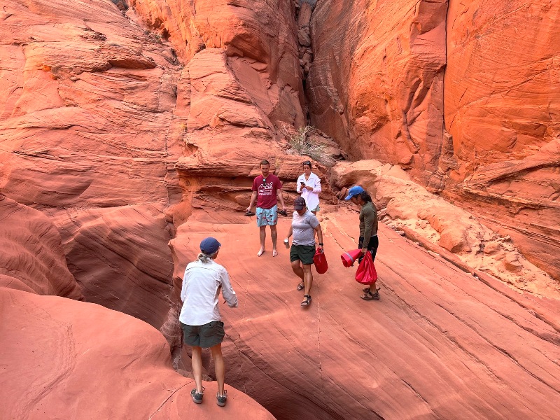 Robin preparing to jump from one rock to another