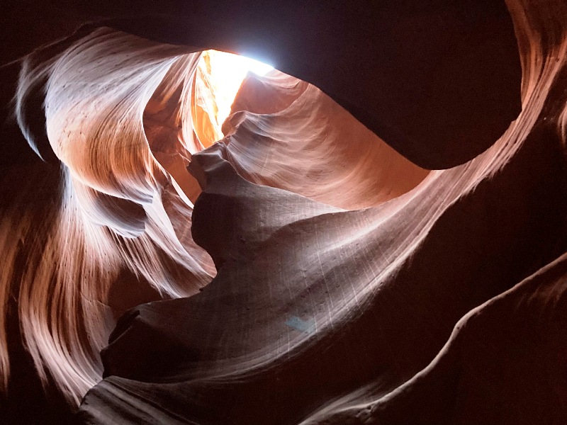 Upward view to catch the morning sun