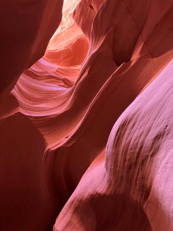 Rocks in the slot canyon glowing pinkish-red