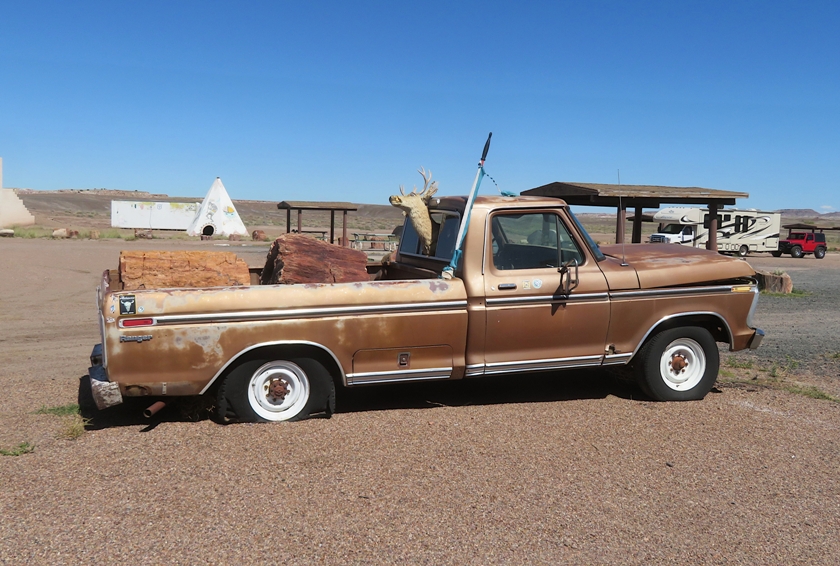 Truck with petrified logs in bed and deer head sticking out cab window