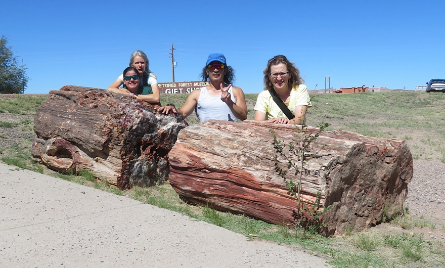 The four of us behind a petrified log