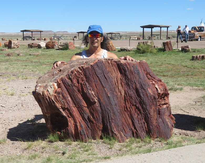 Me behind a petrified log