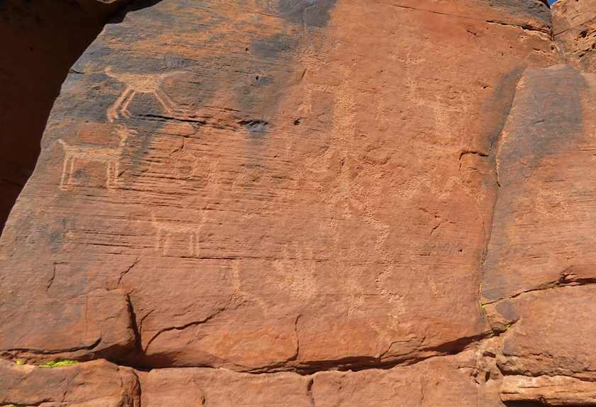 Petroglyph on red stone depicting four-legged animals, snakes, people, and a hand
