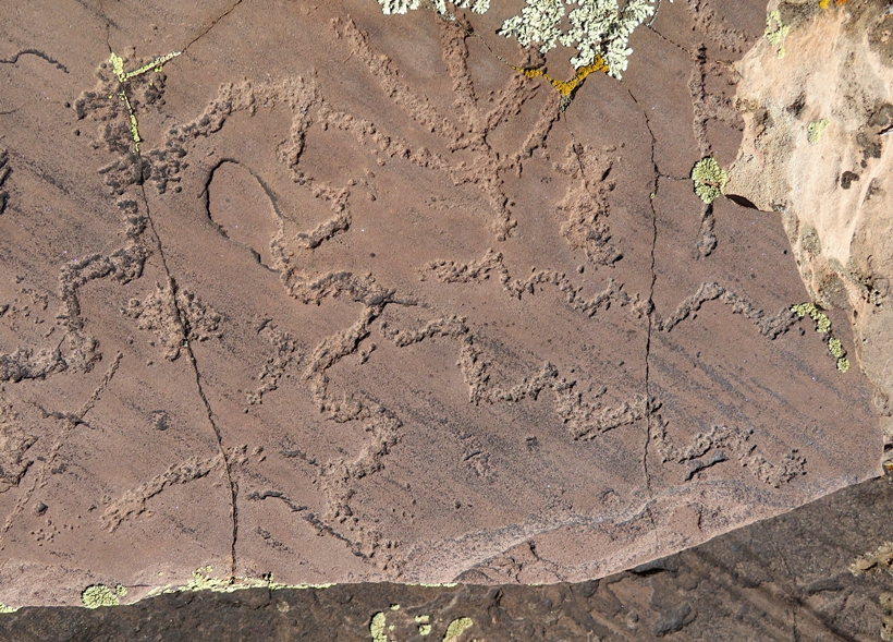 Snakes and something that resembles a menorah