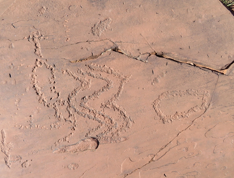 Three snakes and two circles