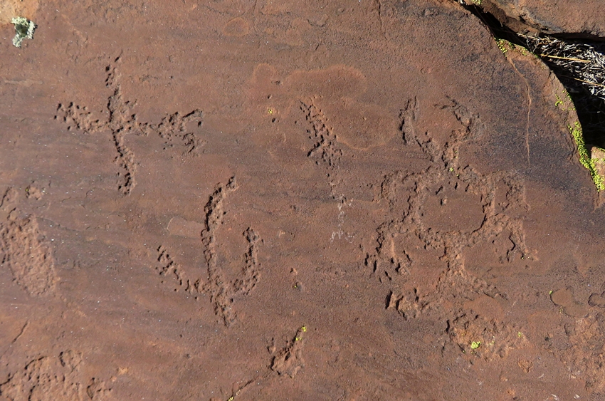 Something that resembles a crab on the right