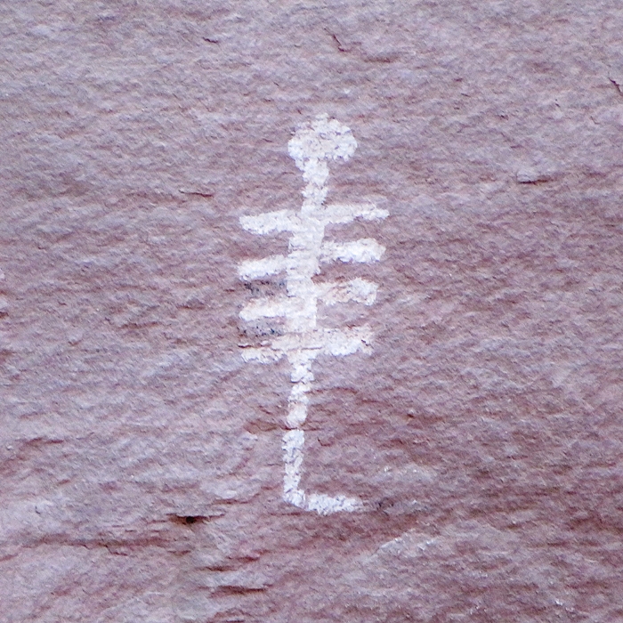 Petroglyph that looks like an overhead view of some animal or insect