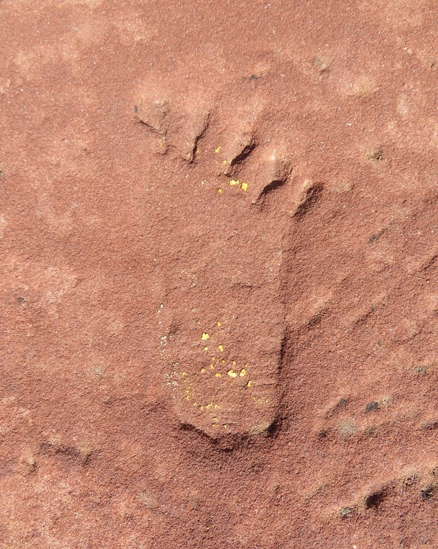 Footprint petroglyph