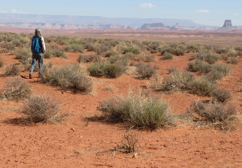Carmen walking on plateau with desert scrub all around