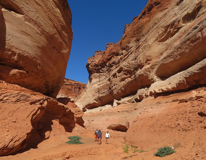 People walking in the canyon near datura