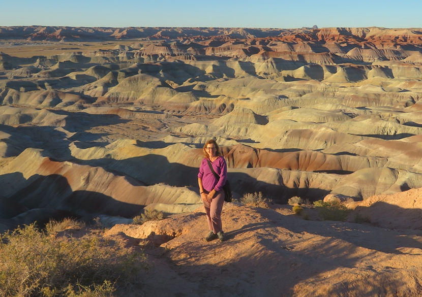 Norma with Little Painted Desert behind