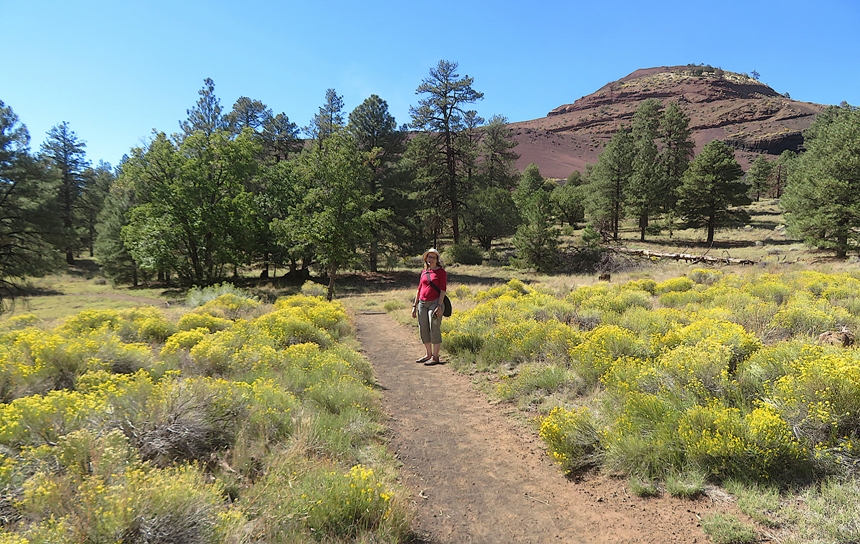 Norma with yellow flowers, green trees, and a mountain behind