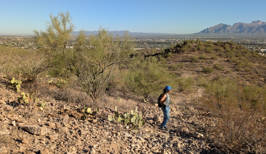 Me on hill looking back