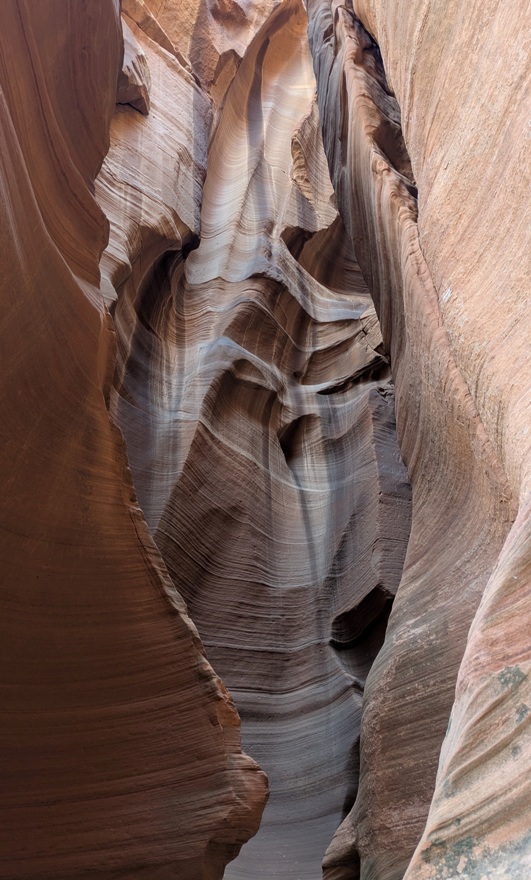Rocks displaying various shades of brown