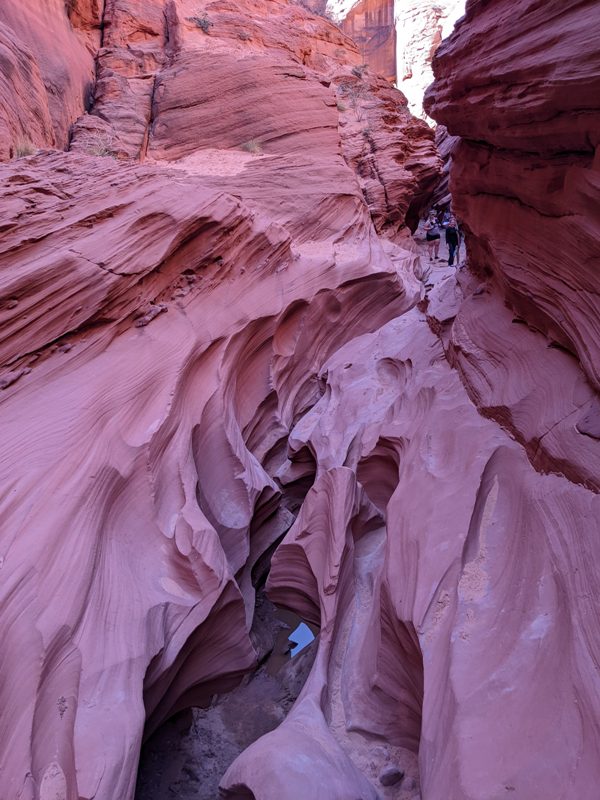 People getting ready to cross a difficult section of twisted rock