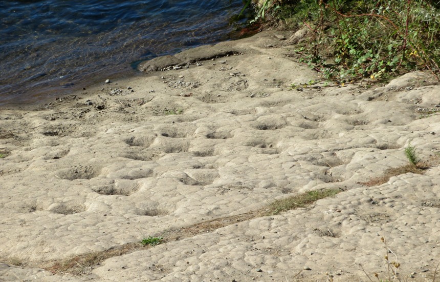 Bedrock mortars along the river