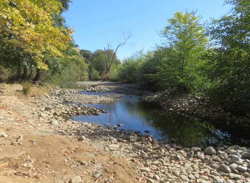 River rocks in shallow area of river