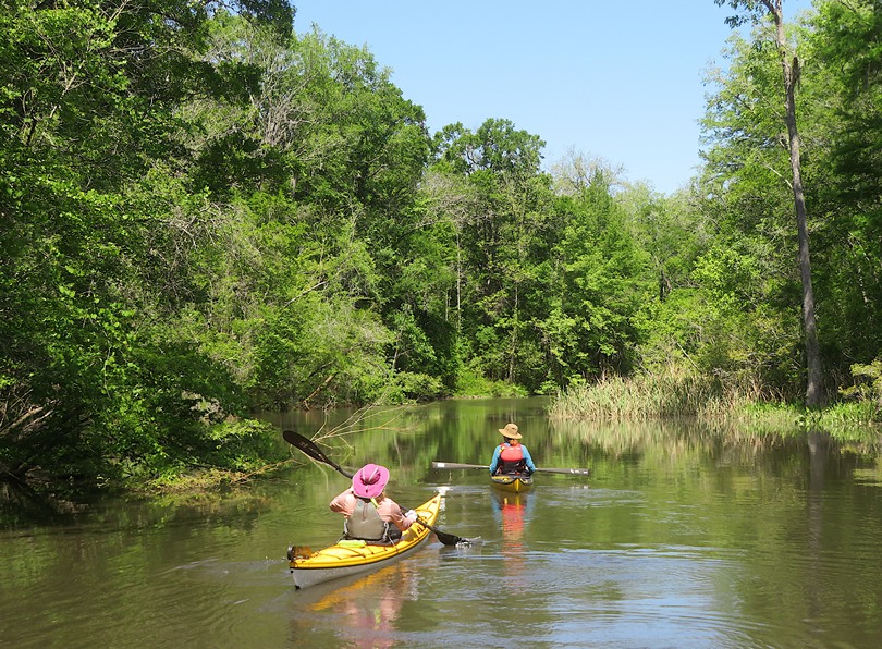 The back of Patty & Ginzy kayaking