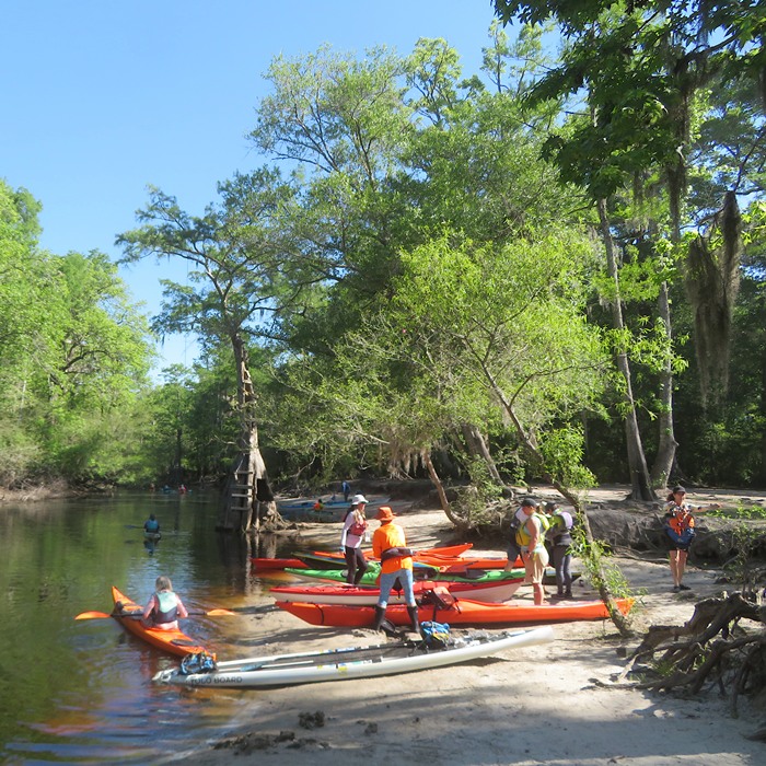Kayaks launching from the beach