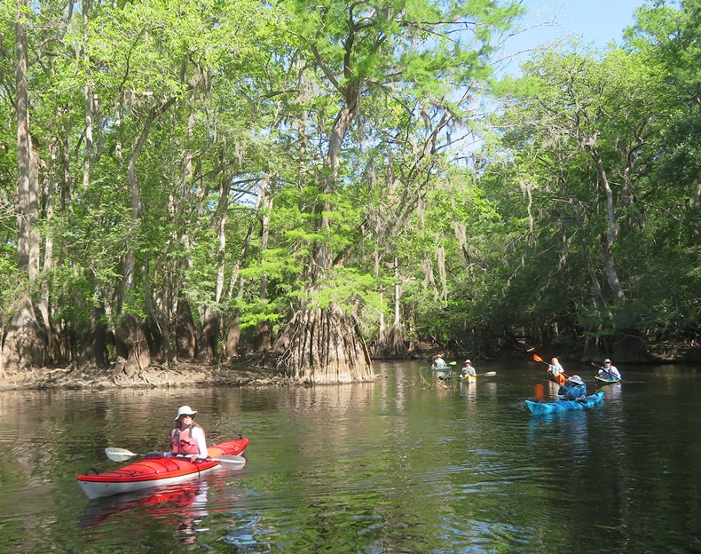 Lisa in front with other kayakers behind